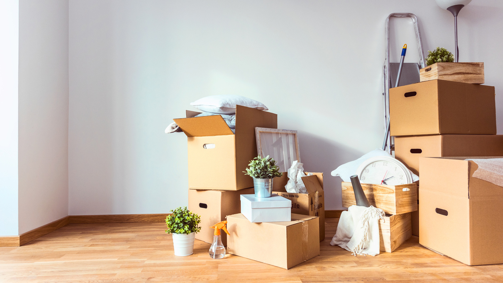 اقتصاد اثاث‌کشی؛ بررسی هزینه‌های پنهان و راه‌های مدیریت بودجه هنگام جابه‌جایی